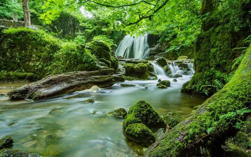 高性能稳定性智能